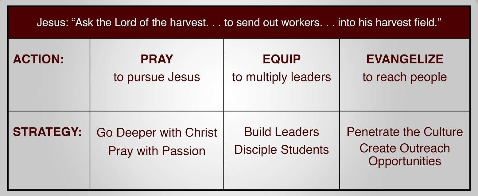 A description of your image